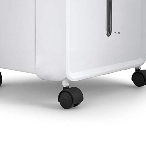 Orbegozo Air 46 Climatizador evaporativo 3 en 1, 3 velocidades, Temporizador, acumuladores de frío, depósito de 6 l, Mando a Distancia, silencioso, 55 W, plastico/Metal