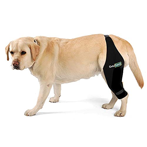Ortocanis Inmovilizador de Rodilla para Perros con Rotura de ligamentos, luxación de rótula - 2 férulas Laterales limitan los Movimientos - 8 Tallas Disponibles - Talla L - Pata Derecha