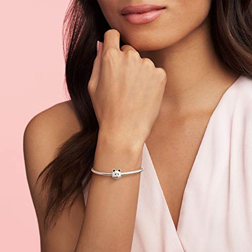 PANDORA Charm Plata de Ley 925 milésimas