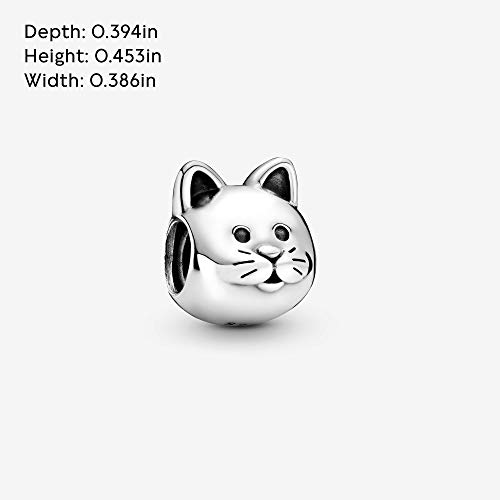 PANDORA Charm Plata de Ley 925 milésimas