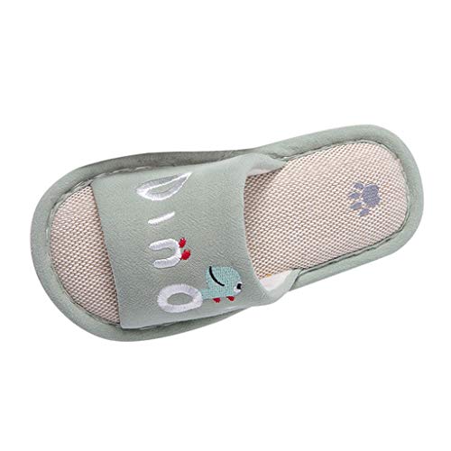 Pantuflas Animales Niños Niñas Zapatillas Casa Interior y Exterior Babuchas Comoda Peludas Slippers Ortopedicas Zapatos Botines Antideslizante Disfraz Dinosaurios Juguetes (Verde, 33.5)