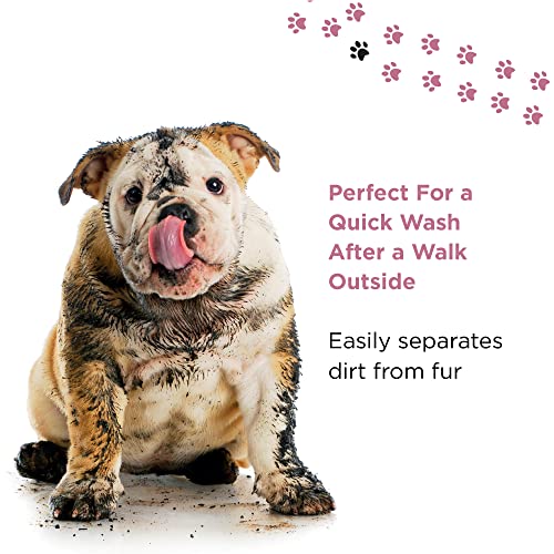 PETUCHI Champú Sin Aclarado para Perros y Cachorros; Spray Bio con Aloe Vera y Leche de Avena; Aroma a Talco Fresco; 250ml