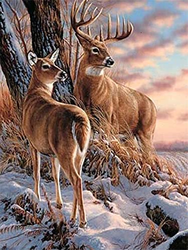 Pintura de diamante 5D, punto de cruz de diamante completo, bordado de ciervo animal, conjunto completo de imágenes de diamantes de imitación, pintura de diamante A6 30x40cm