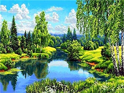 Pintura de diamante paisaje pantalla completa bordado de diamantes bosque mosaico kit de punto de cruz decoración del hogar pintura de diamante A3 45x60cm