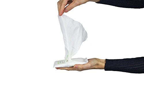 PÜRDOUX 100% algodón CPAP Mascarilla Toallitas con Aloe Vera (caja de 120 toallitas húmedas en 12 sobres resellables, 10 toallitas por bolsa)