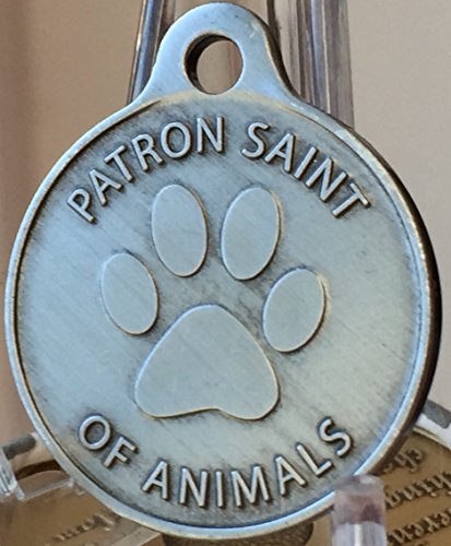 RecoveryChip San Francisco de Asís patrona de las mascotas/Protect My Pet peltre color perro gato etiqueta encanto
