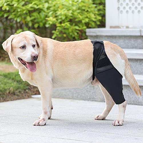Rodilleras para perros, rehabilitación de rodillas, rodilleras para perros, rodilleras carpiales, vendaje protector para perros para lesiones del ligamento cruzado, rótula inclinada, artrosis