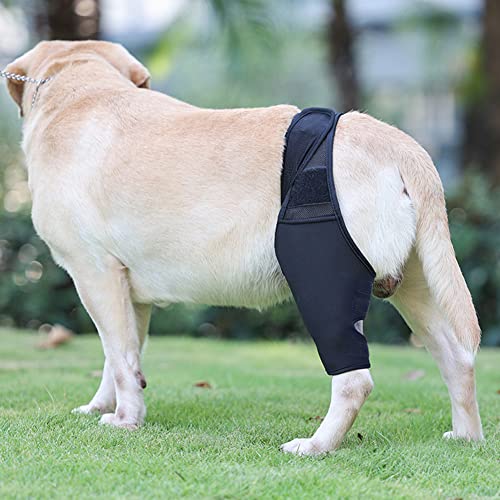Rodilleras para perros, rehabilitación de rodillas, rodilleras para perros, rodilleras carpiales, vendaje protector para perros para lesiones del ligamento cruzado, rótula inclinada, artrosis