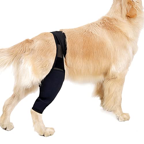 Rodilleras para perros, rehabilitación de rodillas, rodilleras para perros, rodilleras carpiales, vendaje protector para perros para lesiones del ligamento cruzado, rótula inclinada, artrosis