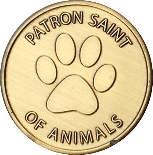 San Francisco de Asís proteger mi mascota patrón medallón bronce huellas Token