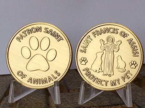 San Francisco de Asís proteger mi mascota patrón medallón bronce huellas Token