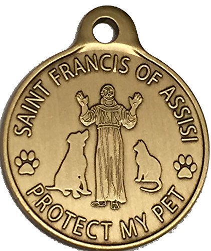 San Francisco de Asisia Patrón de San de las mascotas/proteger a mi mascota bronce perro gato etiqueta encanto