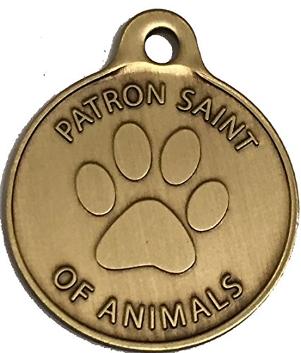 San Francisco de Asisia Patrón de San de las mascotas/proteger a mi mascota bronce perro gato etiqueta encanto