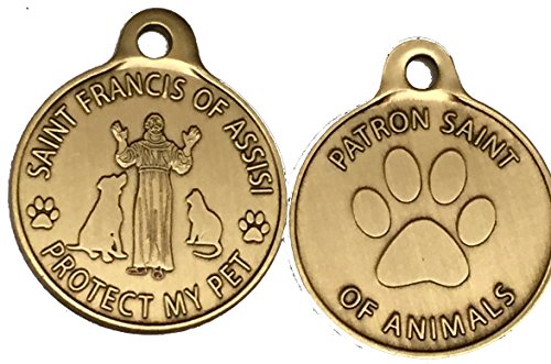 San Francisco de Asisia Patrón de San de las mascotas/proteger a mi mascota bronce perro gato etiqueta encanto