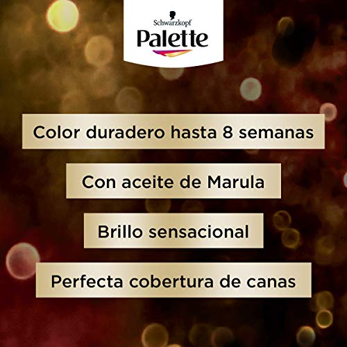 Schwarzkopf Palette Intensive - Tinte 3.65 cabello Castaño Chocolate – Perfecta cobertura de canas – Coloración Permanente de Cuidado con Aceite de Marula - Color duradero hasta 8 semanas (Pack de 3)