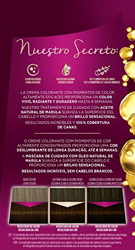 Schwarzkopf Palette Intensive - Tinte 3.65 cabello Castaño Chocolate – Perfecta cobertura de canas – Coloración Permanente de Cuidado con Aceite de Marula - Color duradero hasta 8 semanas (Pack de 3)
