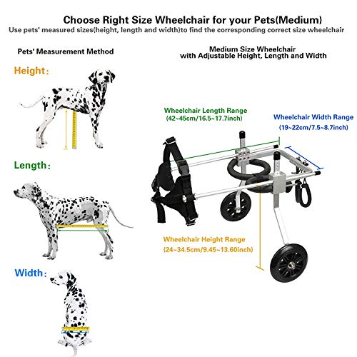 SDFGDFD Silla de Ruedas para Perros, Silla de Ruedas Ajustable Auxiliar para Perro para la Rehabilitación de Piernas Traseras Caminar para Mascotas Gato Perro Pequeño