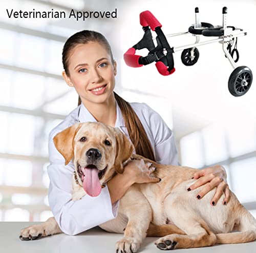 SDFGDFD Silla de Ruedas para Perros, Silla de Ruedas Ajustable Auxiliar para Perro para la Rehabilitación de Piernas Traseras Caminar para Mascotas Gato Perro Pequeño