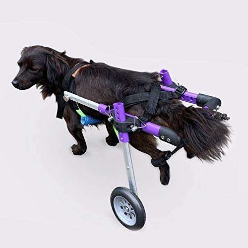 Silla de Ruedas para Perros, Dos Ruedas Silla de Ruedas Ajustable para Perros Silla de Ruedas de rehabilitación de extremidades traseras para Mascotas para Perros Rehabilitación de Patas Tras(XS-#1)