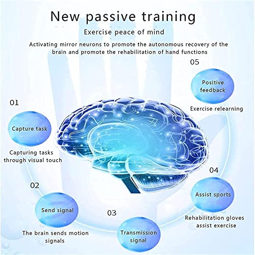 Soporte férula para dedos, ortopédicos rehabilitación y entrenamiento los dedos, minimiza espasticidad, estiramiento y agarre funcional, previene rigidez para accidentes cerebrovasculares, TBI, aumen