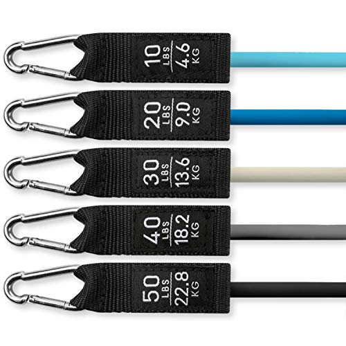 Starwood Sports Bandas elásticas de musculación - Set de 5 - Con asas, correas para tobillos y anclaje para puerta - Hasta 68 kg de resistencia - Bandas elásticas para hombres y mujeres - Gris y negro