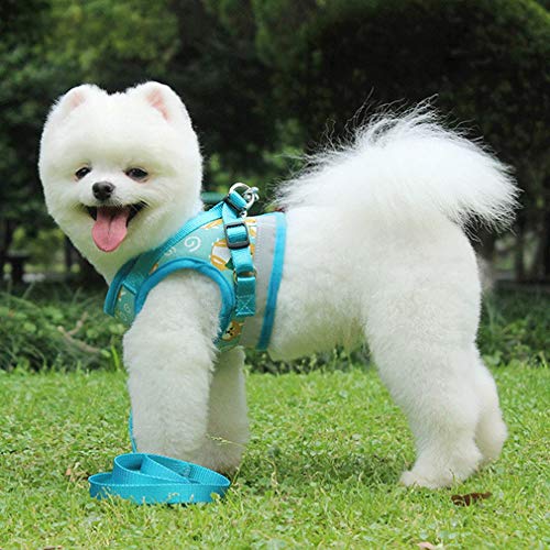 Suministros Correa de Mascota Perro de la Caminata Artefacto Perro pequeño Chaleco Pectoral Mascotas (Color : Azul, Size : XL)