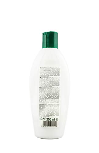TABAIBA Body Milk Aloe Vera, Crema hidratante de Aloe Vera, 250 ml