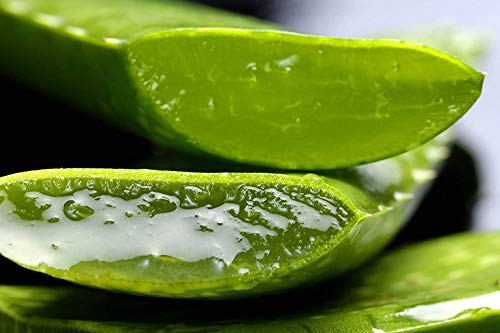 TABAIBALOE Crema Aloe Vera Premium Crema de Aloe Vera para Cara y Cuerpo 300 ml X 2 Unidades, 600 Mililitros
