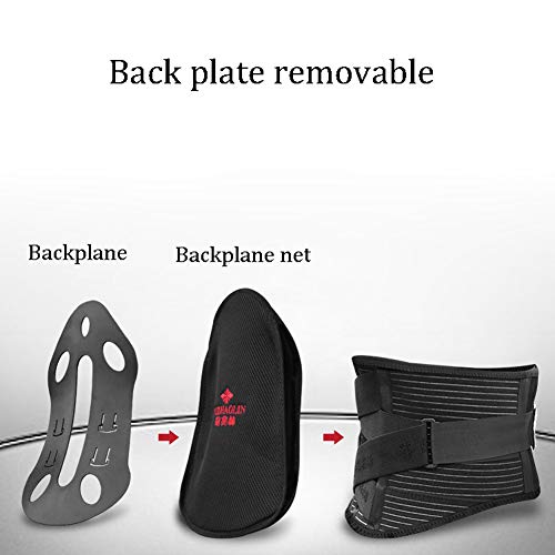 TANGIST Soporte Lumbar Cinturón,Apoyo Lumbar Transpirable De Malla Paneles Doble Dolor De Alivio Tablero Extraíble (Size : L)
