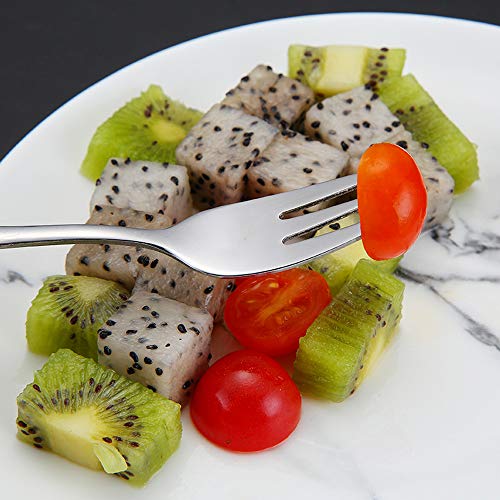 Tenedor de Pastel de Acero Inoxidable, Tenedores de Frutas de 5 Piezas, Mini Tenedores de Ensalada de Repostería, Tenedores Pequeños, para el Hogar, Oficina, Tienda de Postres y la Fiesta