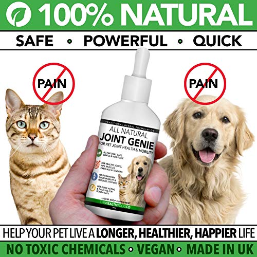 The Healthy Dog Co Cuidado de Perros – Suplementos para Perros y Gatos – 100 Porciones – Suplementos Naturales Líquidos para Articulación Canina de Acción Rápida para Perros Mayores