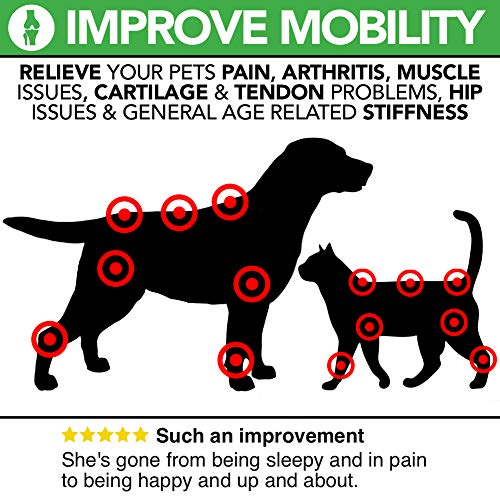 The Healthy Dog Co Cuidado de Perros – Suplementos para Perros y Gatos – 100 Porciones – Suplementos Naturales Líquidos para Articulación Canina de Acción Rápida para Perros Mayores