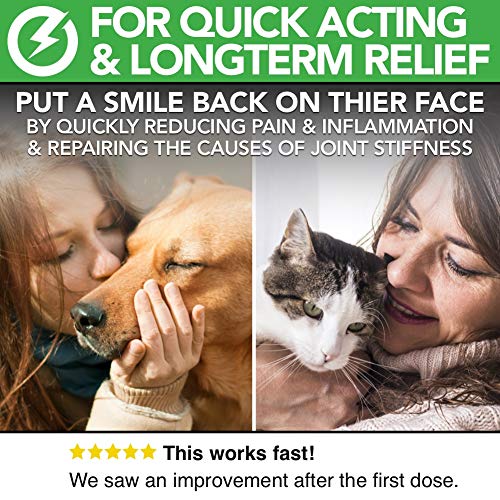 The Healthy Dog Co Cuidado de Perros – Suplementos para Perros y Gatos – 100 Porciones – Suplementos Naturales Líquidos para Articulación Canina de Acción Rápida para Perros Mayores