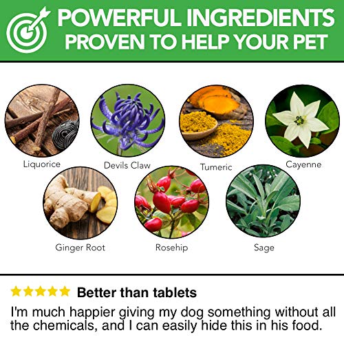 The Healthy Dog Co Cuidado de Perros – Suplementos para Perros y Gatos – 100 Porciones – Suplementos Naturales Líquidos para Articulación Canina de Acción Rápida para Perros Mayores