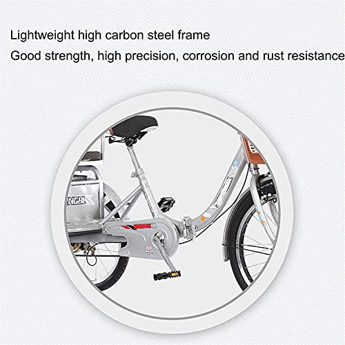 Triciclo de 3 ruedas para adultos - TRIKE CRUISER Triciclo para mujeres adultas Hombres 1 Velocidad Trike 20 pulgadas 3 Bicicletas de ruedas Doble freno con canasta de asiento trasero para recreación