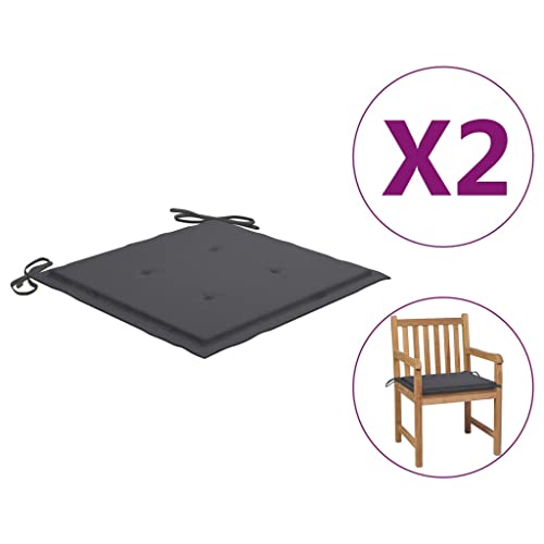 vidaXL 2X Cojines para Sillas Jardín Casa Hogar Sillones Asientos Salón Comedor Terraza Decoración Muebles Mobiliario Gris Antracita 50x50x4 cm