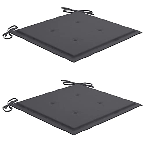 vidaXL 2X Cojines para Sillas Jardín Casa Hogar Sillones Asientos Salón Comedor Terraza Decoración Muebles Mobiliario Gris Antracita 50x50x4 cm