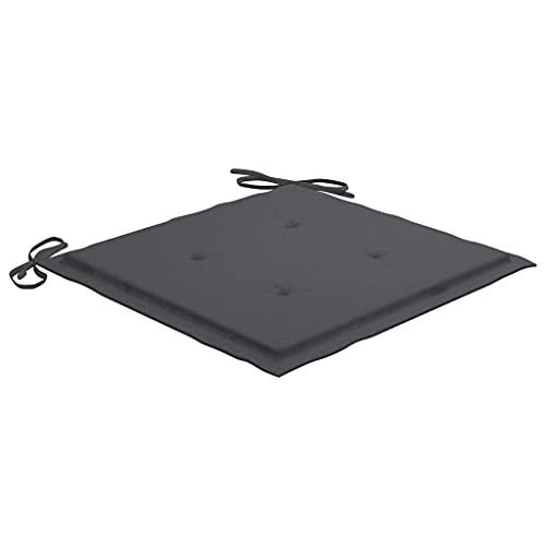 vidaXL 2X Cojines para Sillas Jardín Casa Hogar Sillones Asientos Salón Comedor Terraza Decoración Muebles Mobiliario Gris Antracita 50x50x4 cm