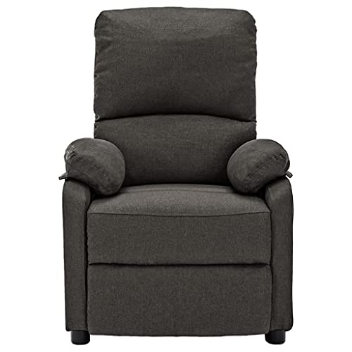 vidaXL Silla Reclinable Ajustable Reposapiés Sillón Sofá Asiento Sala de Estar Salón Oficina Mueble Elevable Ergonómico de Tela Gris Oscuro