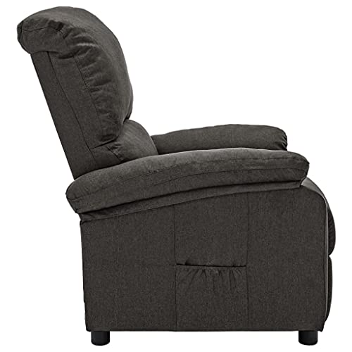 vidaXL Silla Reclinable Ajustable Reposapiés Sillón Sofá Asiento Sala de Estar Salón Oficina Mueble Elevable Ergonómico de Tela Gris Oscuro