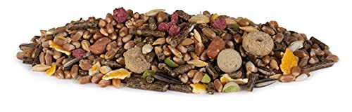 Vitakraft - Menú Premium Vital para Hámsters con Mezcla de Semillas, Frutos Secos y Vegetales, Alimento Principal - 1 kg