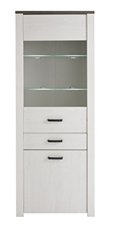 Vitrina salón comedor con puerta y estantes cristal cajón y armario 194x75 cm