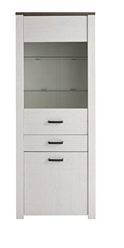 Vitrina salón comedor con puerta y estantes cristal cajón y armario 194x75 cm