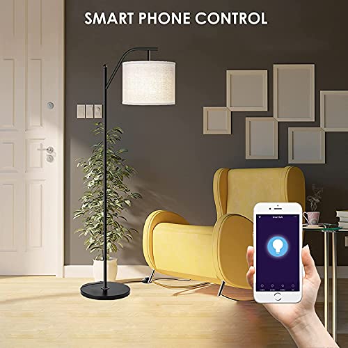 Wellwerks Lámpara de Pie, Moderna Lámpara de Lectura Temperatura de Color Ajustable y RGB Luz Regulable, WiFi Inteligente APP Control con Amazon Alexa /Google Home