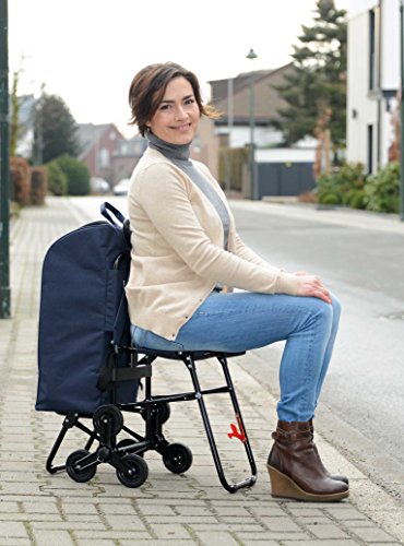 Wenko 84601500 de la Maleta con Ruedas y con Asiento de Coche, Triciclo con Sistema para Subir escaleras, Capacidad de la 35 L, Aluminio, 36,5 x 103 x 65 cm, Colour Plateado Mate