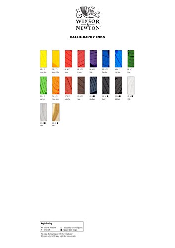 Winsor & Newton Calligraphy Ink Tinta para Caligrafía, Negro (Black), 30ml