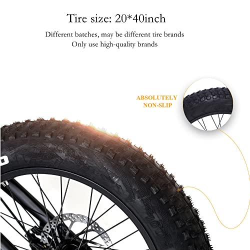 Y20 Bicicleta eléctrica para Adultos Rueda de 20 Pulgadas Bicicleta eléctrica Plegable Bicicleta de montaña 4.0 Neumático Gordo (Standard, 24Ah + 1 batería Repuesto)