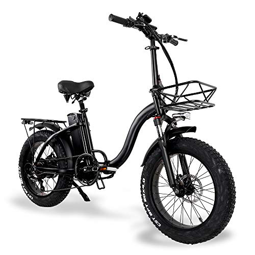Y20 Bicicleta eléctrica para Adultos Rueda de 20 Pulgadas Bicicleta eléctrica Plegable Bicicleta de montaña 4.0 Neumático Gordo (Standard, 24Ah + 1 batería Repuesto)