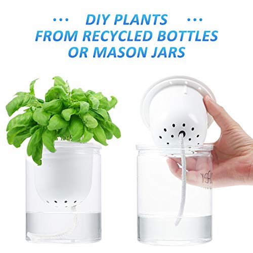 Boao 130 Pies Cuerda de Mecha Cuerda de Riego Automático Cuerda de Algodón para Riego Automático de Planta en Maceta Interior Exterior Dispositivo Sistema Automático de Riego por Goteo