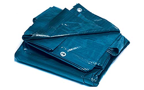 BRIXO 305280 Toldo rafia plastificado, Azul, 3 x 4 m